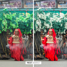 Load image into Gallery viewer, Ultimate TD Collection (Desktop)